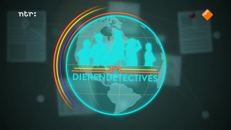 DierenDetectives | Geit Mandy